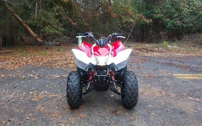 2023 Honda® TRX250X