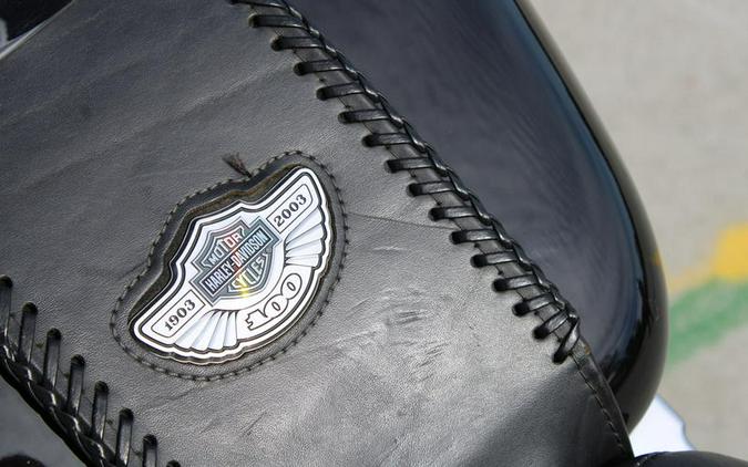 2003 Harley-Davidson® FLSTFI - Fat Boy® Injection