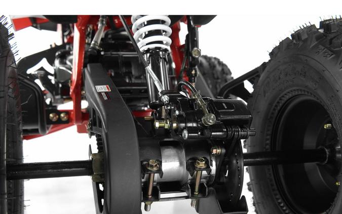 2024 Vitacci Falcon X 125 cc