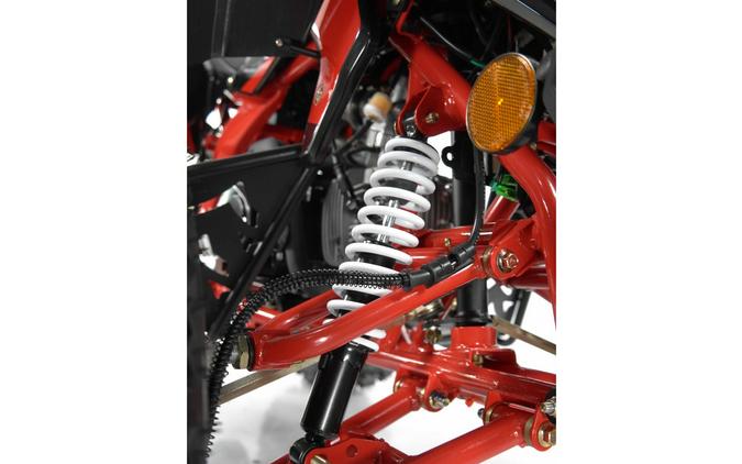 2024 Vitacci Falcon X 125 cc