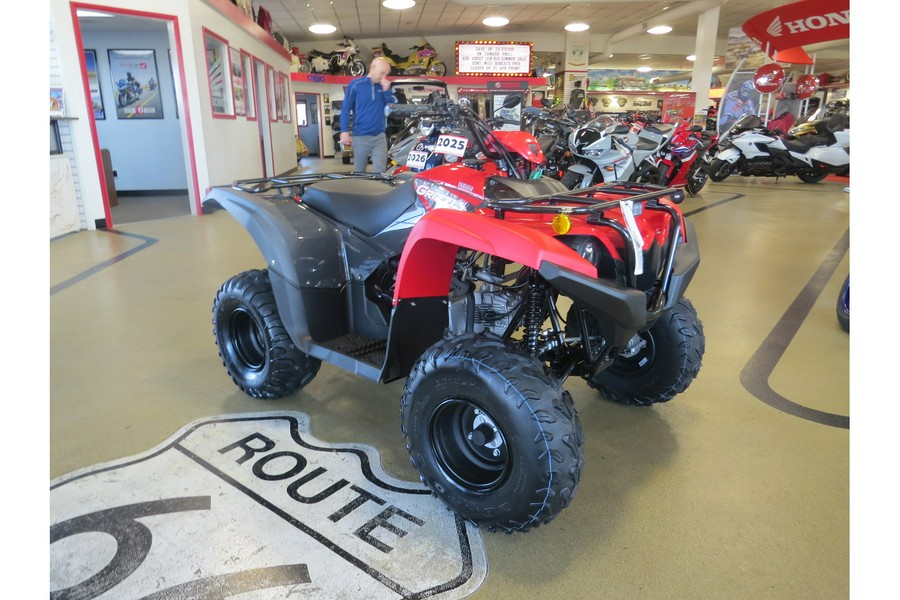 2025 Yamaha Grizzly 110