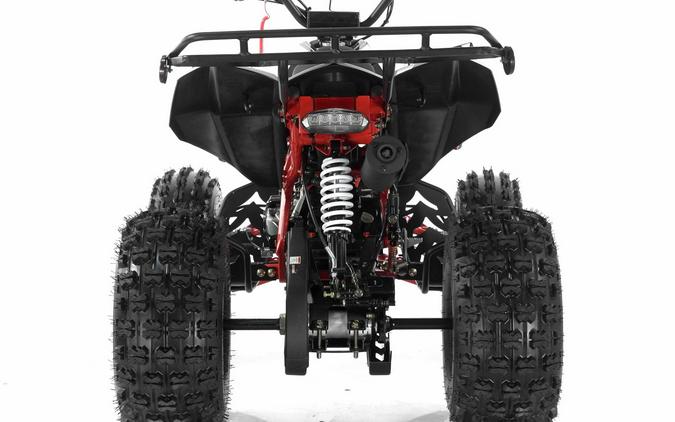 2025 Vitacci Falcon X 125 cc