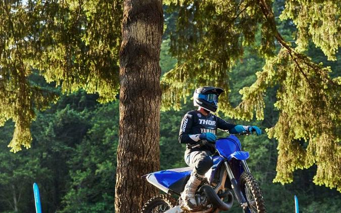 2025 Yamaha Motor Corp., USA YZ250