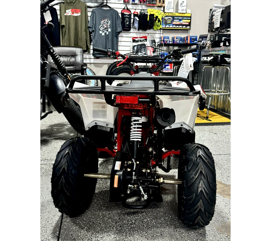 2024 Vitacci Mini Commander 110