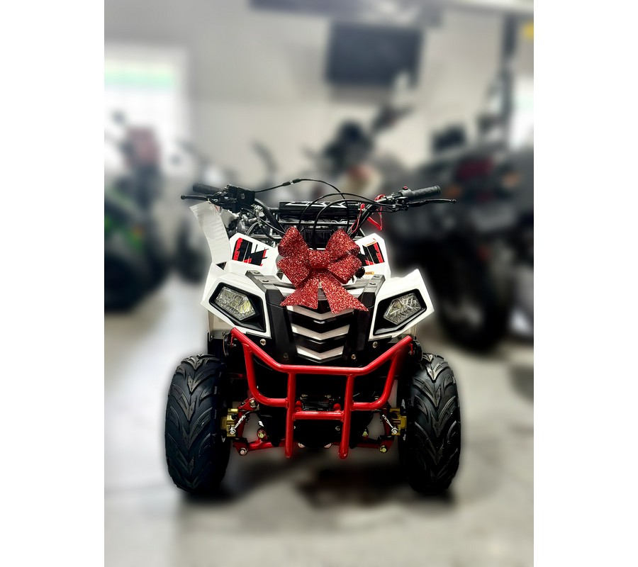 2024 Vitacci Mini Commander 110