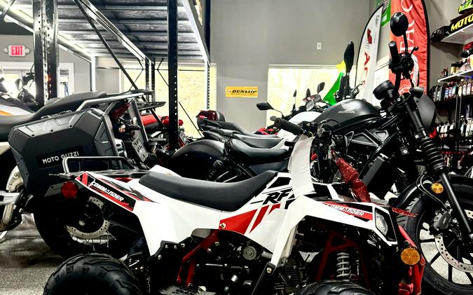 2024 Vitacci Mini Commander 110