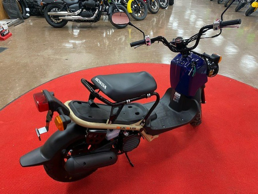 2023 Honda Ruckus