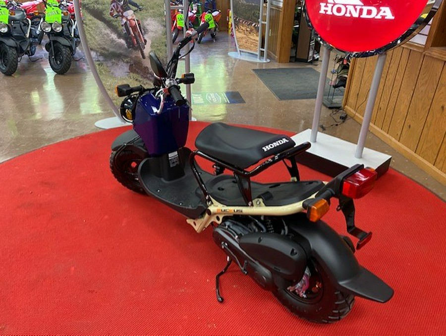 2023 Honda Ruckus