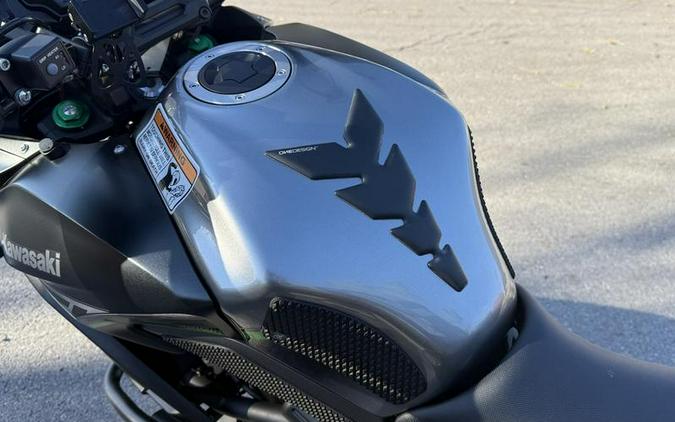 2019 Kawasaki Versys® 650 ABS