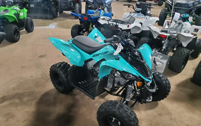 2024 Yamaha Raptor 110