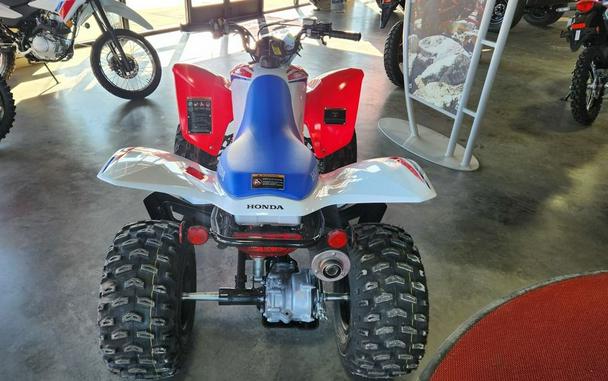 2026 Honda® TRX250X