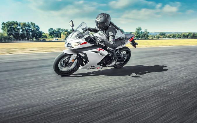2026 Kawasaki Ninja 300 ABS Pearl Blizzard White - KM2477