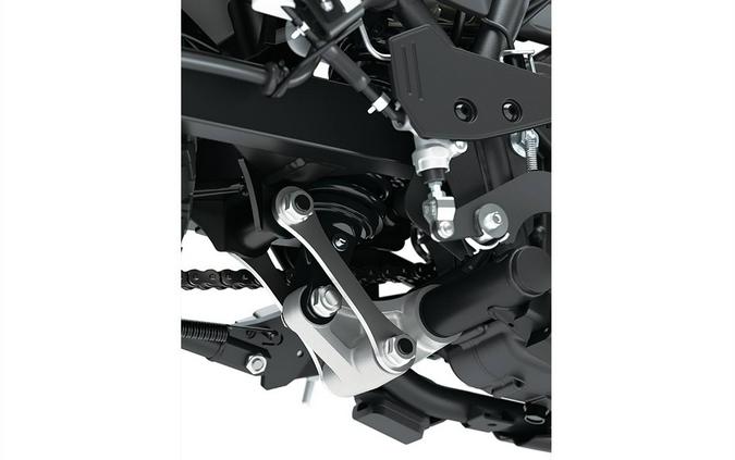 2023 Kawasaki KLR650 S