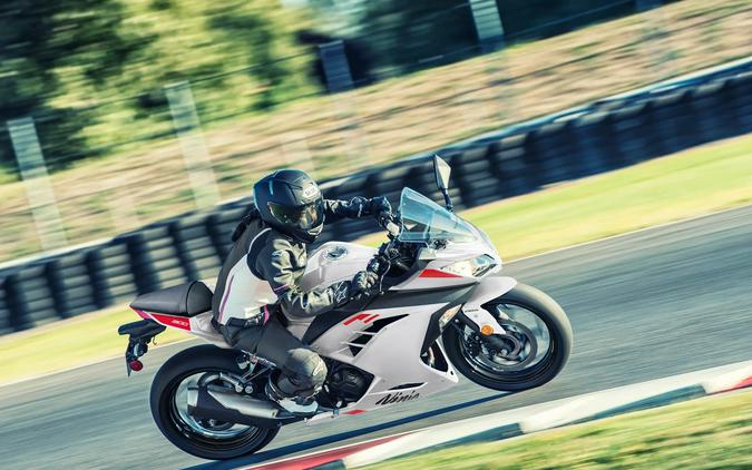 2026 Kawasaki Ninja 300 ABS Pearl Blizzard White - KM2474