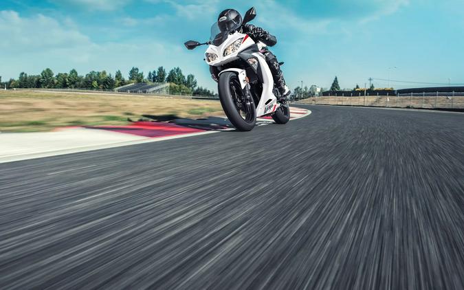 2026 Kawasaki Ninja 300 ABS Pearl Blizzard White - KM2474