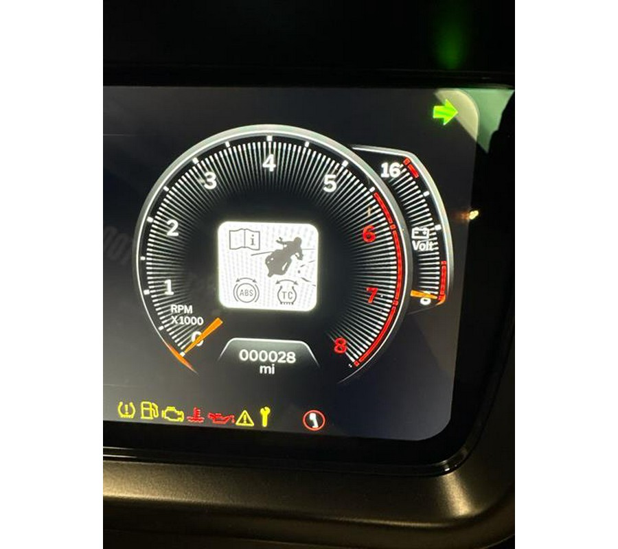 2025 Harley-Davidson Street Glide®