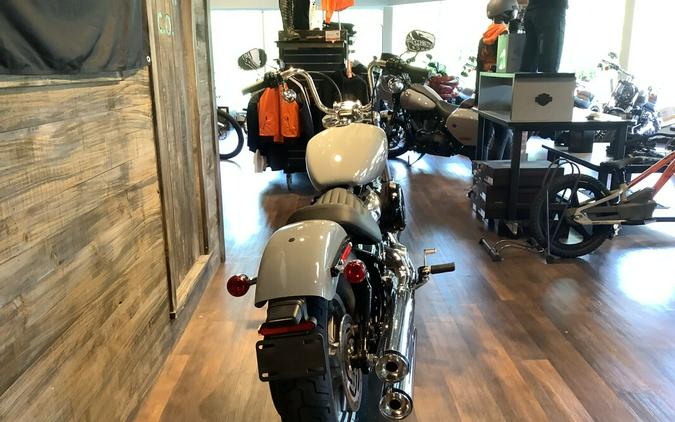 Harley-Davidson Softail Standard 2024 FXST S36-24 Billiard Gray