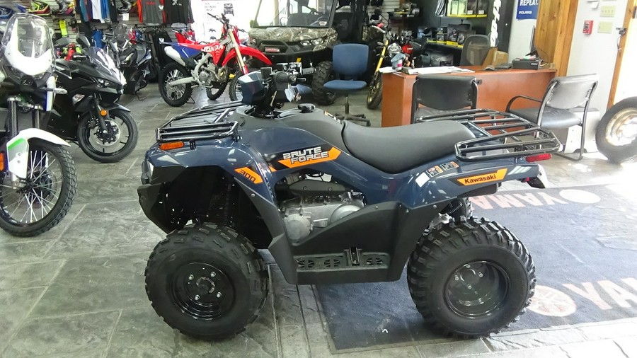 2026 Kawasaki Brute Force® 300