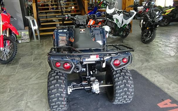 2026 Kawasaki Brute Force® 300