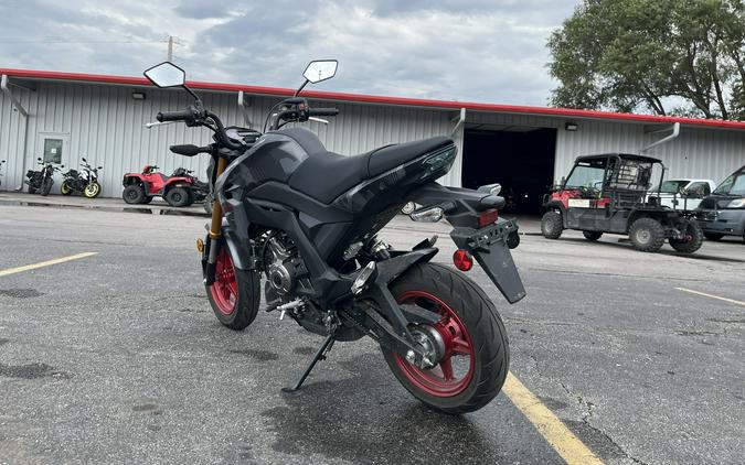 2024 KAWASAKI Z125 PRO