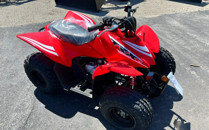 2026 Honda TRX90X