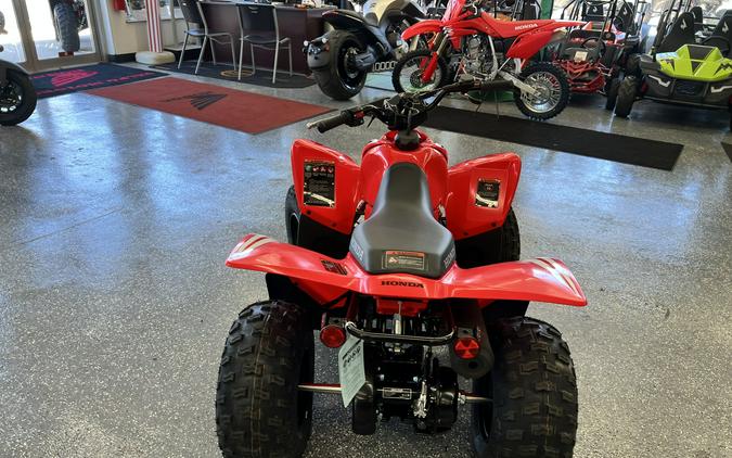 2026 Honda TRX90X