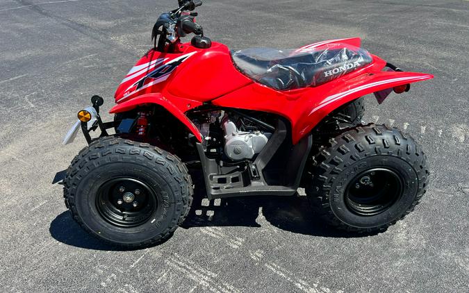 2026 Honda TRX90X