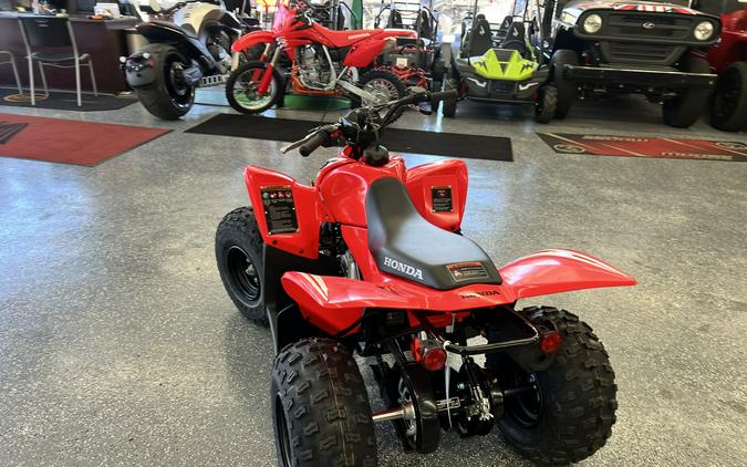 2026 Honda TRX90X