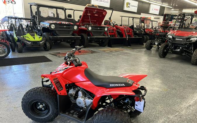 2026 Honda TRX90X