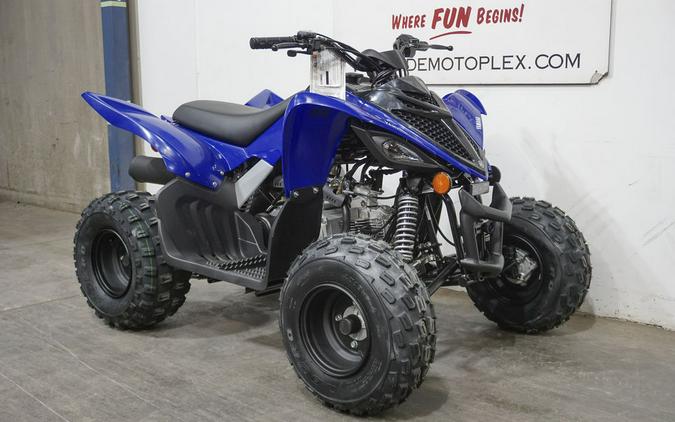 2024 Yamaha Raptor 110