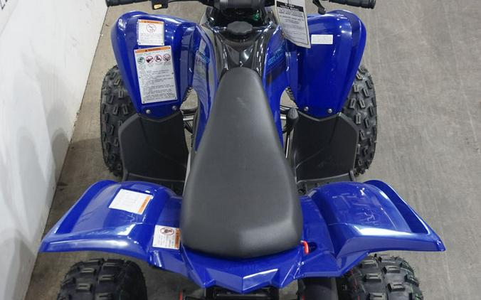 2024 Yamaha Raptor 110