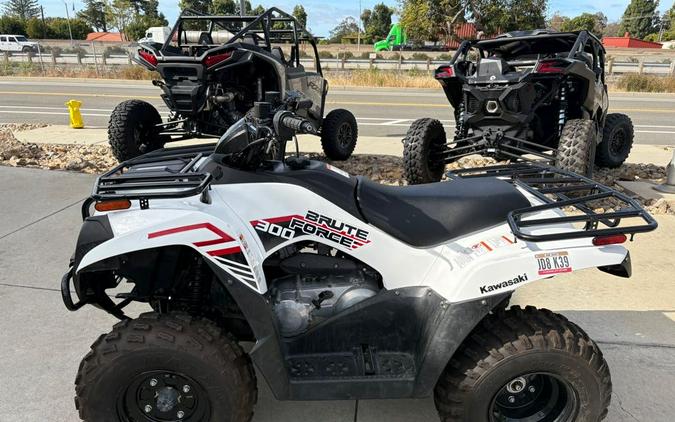 2021 Kawasaki BRUTE FORCE 300