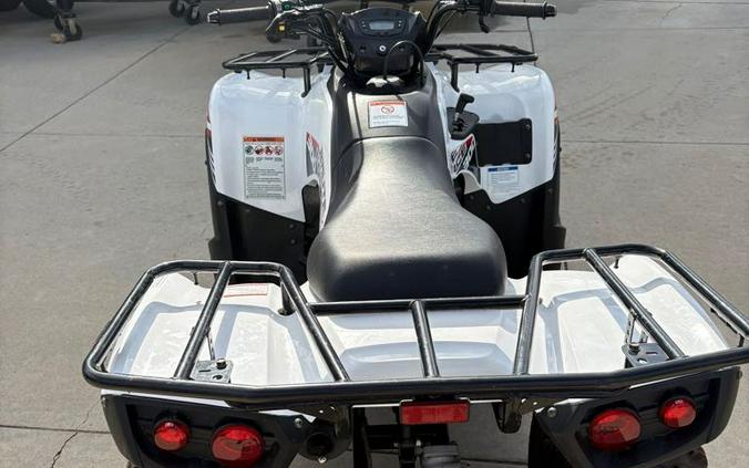 2021 Kawasaki BRUTE FORCE 300