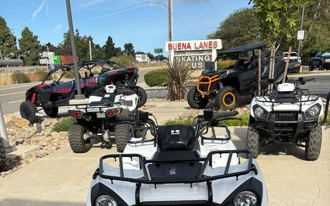 2021 Kawasaki BRUTE FORCE 300