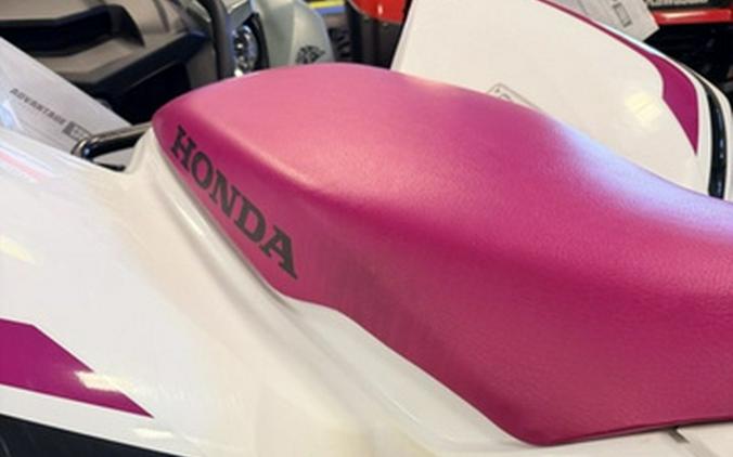 2023 Honda TRX 250X