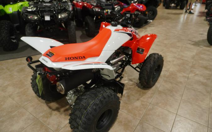 2024 Honda TRX250X