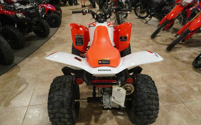 2024 Honda TRX250X