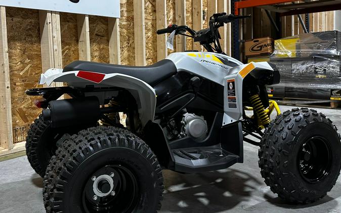 2026 Renegade 110 EFI - Can-Am