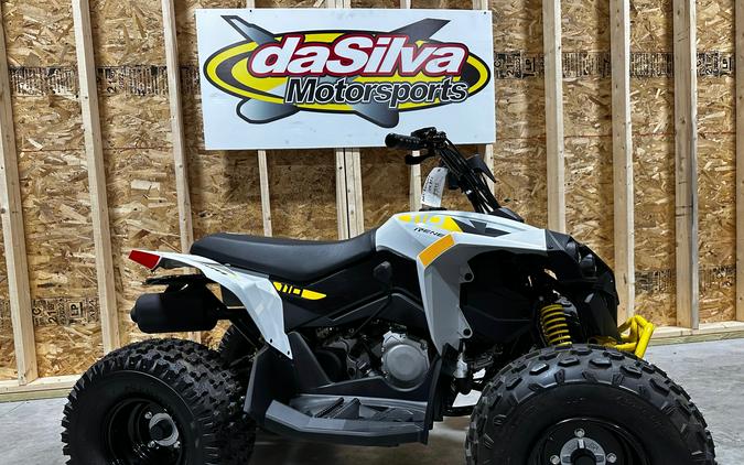 2026 Renegade 110 EFI - Can-Am