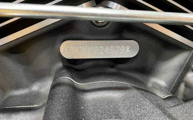 2019 Harley-Davidson Fat Boy® 114