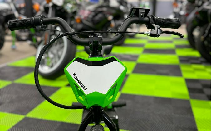 2023 Kawasaki Elektrode