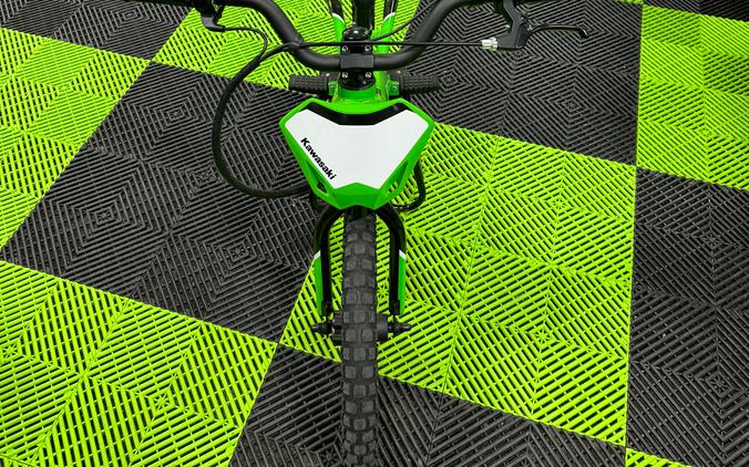 2023 Kawasaki Elektrode