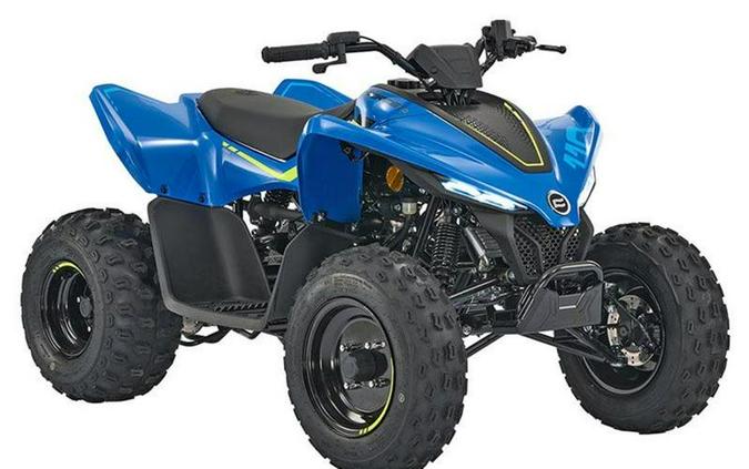 2024 CFMOTO CFORCE 110 CF110AY10