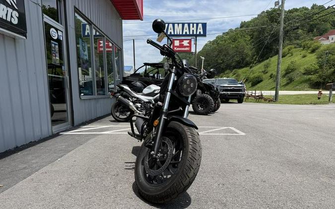 2025 Honda® Rebel 300