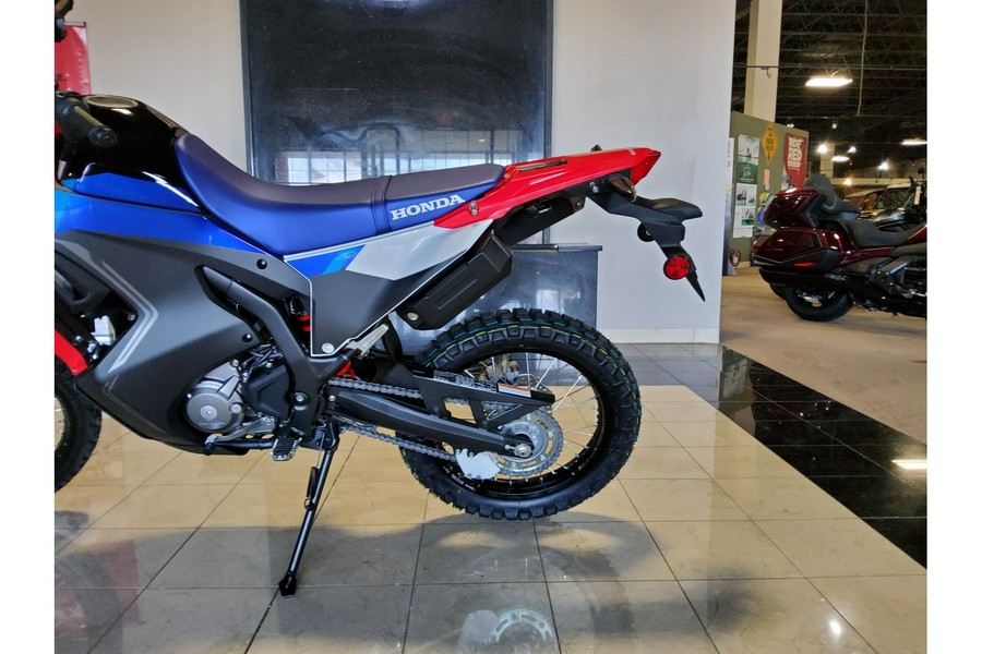 2025 Honda CRF 300L RALLY