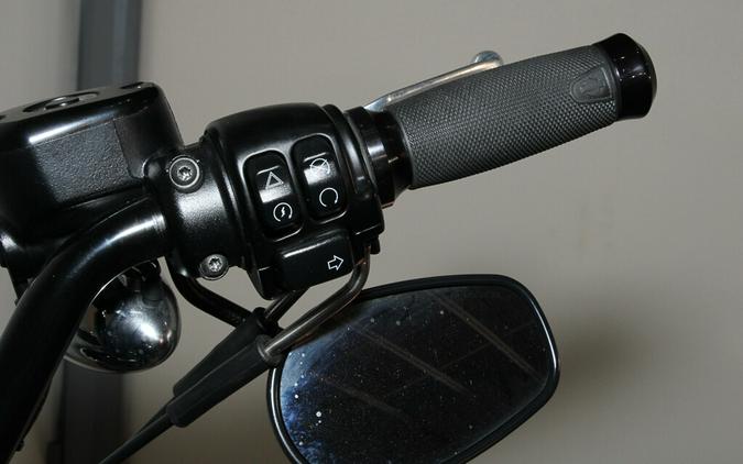 2019 Harley-Davidson Roadster Sportster XL 1200 CX