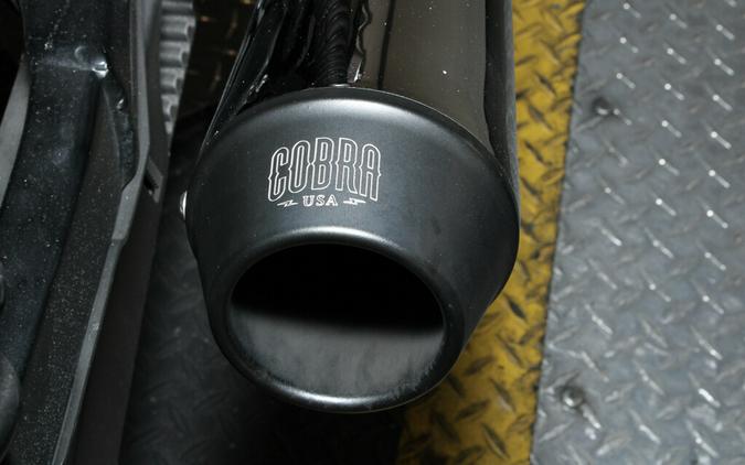 2019 Harley-Davidson Roadster Sportster XL 1200 CX