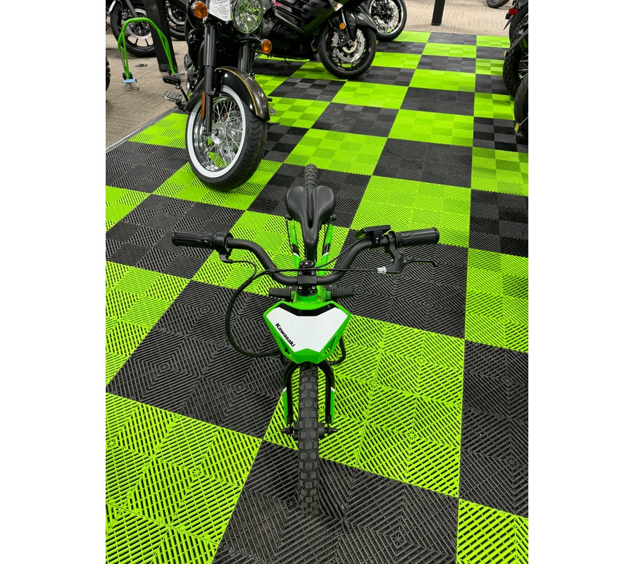 2023 Kawasaki Elektrode