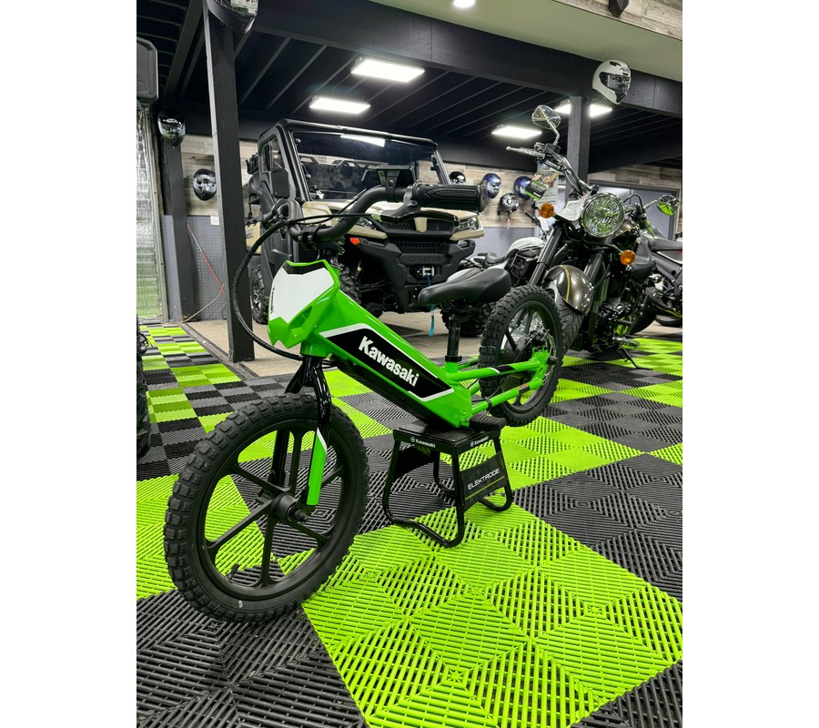 2023 Kawasaki Elektrode