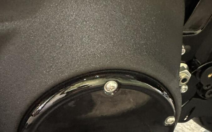 2025 Harley-Davidson Low Rider ST